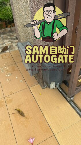 Legate System Replacement Sunway